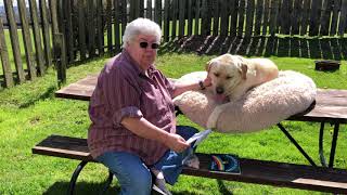 Lager Tails A Rainbow Of My Own