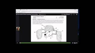 VoiceThread: How to Comment on a VoiceThread Video