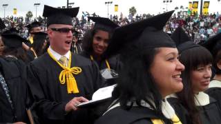 Commencement 2010 - Celebration