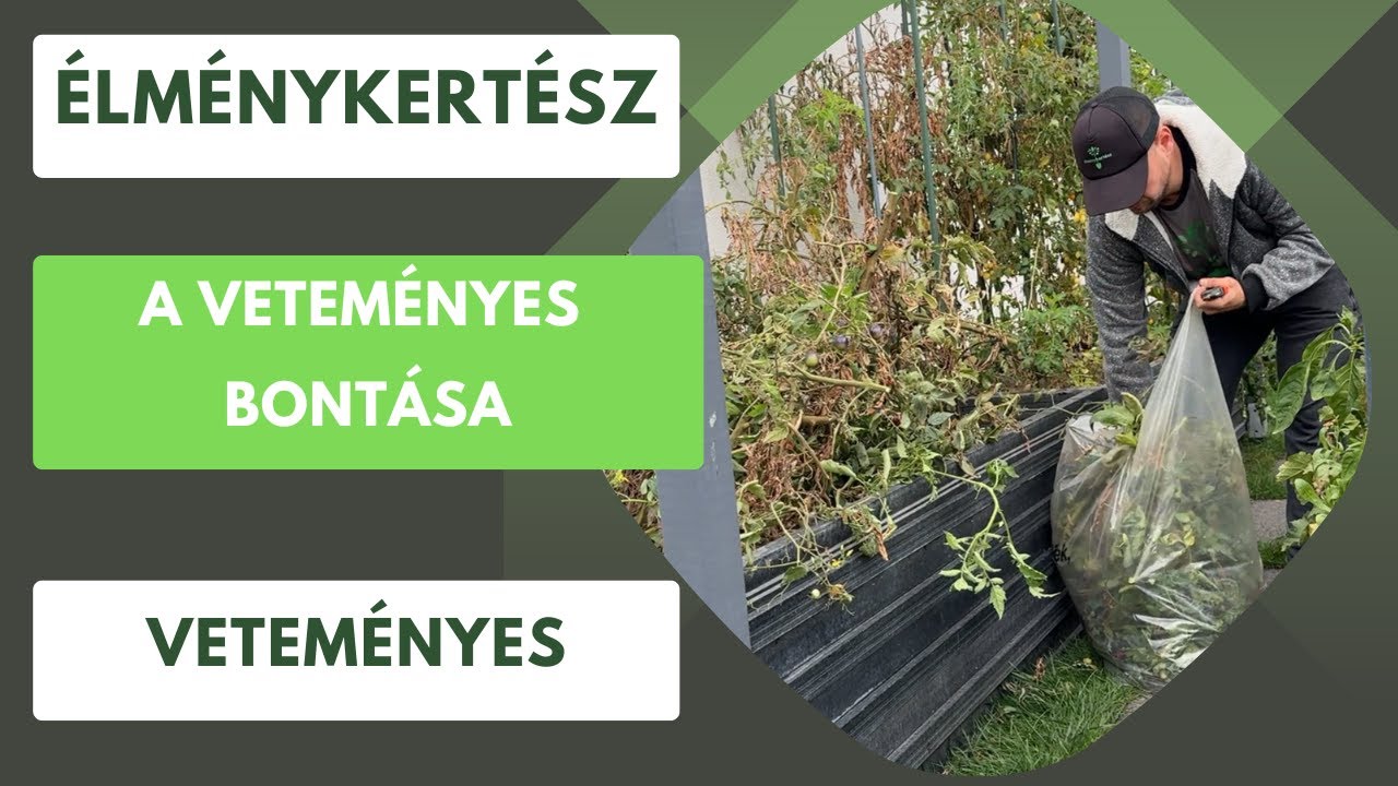 Veteményes bontása ősszel- Elérkezett az idő, na de mit is kell csinálni?🍂
