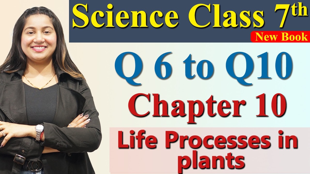 Q 6 to Q10  - Chapter 10 Part 9 - Life Processes in plants - Science Curiosity Class 7th NCERT CBSE