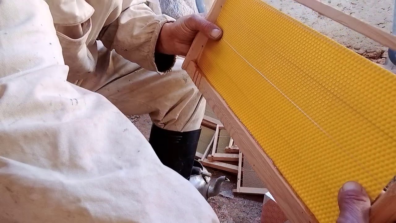 استعدادا للتقسيم، تعقيم الخليات بالنار و تثبيت شمع الاساس في الاطارات الجديدة (فبراير). :تربية النحل