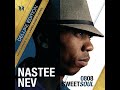 Nastee Nev - fly away