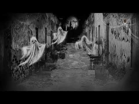 /storage/emulated/0/PK Film/My Film-270719-020340.mp4