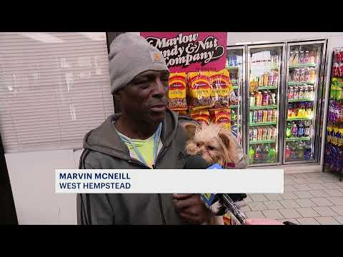 Dog believed to be stolen in Lakeview returned to owner by man who thought she was abandoned
