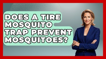 Does A Tire Mosquito Trap Prevent Mosquitoes? | Insects and Invaders
