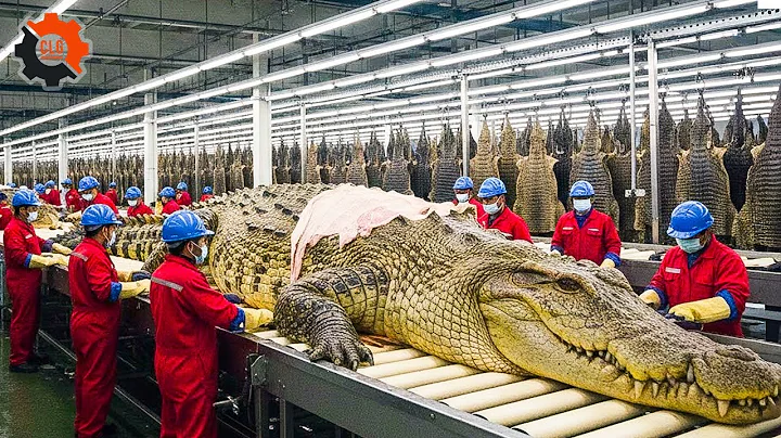 Inside the Alligator-Leather Factory: From Alligator Skin to Luxury Bag (Full Process)