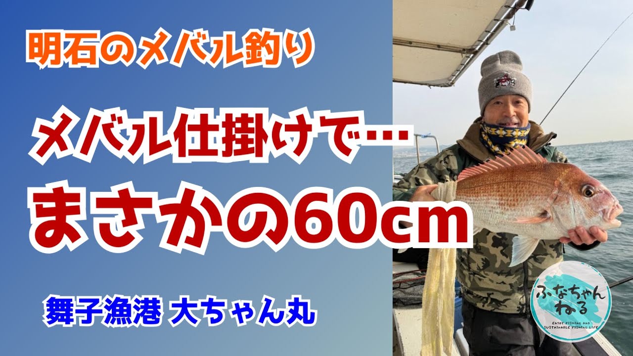 【メバル】ハリス1.2号で60cmマダイを止めた