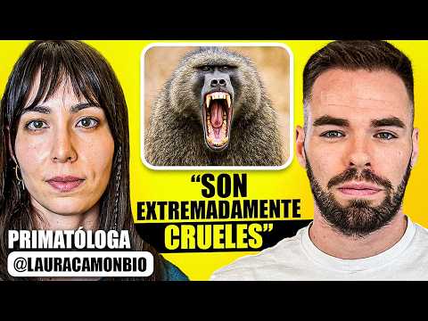PRIMATES  | Vivir entre babuinos, crueldad, S3xo , mitos - WONDERVERSO #4 - Laura Camón