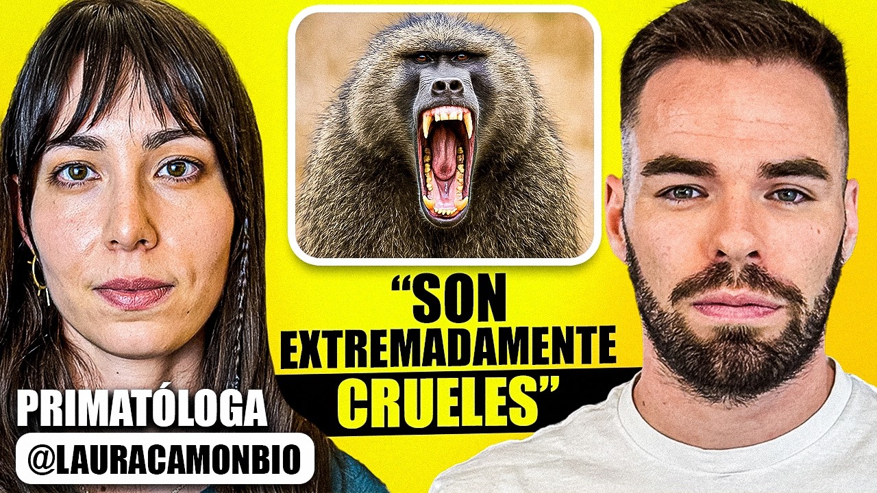 PRIMATES  | Vivir entre babuinos, crueldad, S3xo , mitos - WONDERVERSO #4 - Laura Camón