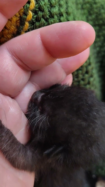 VID 20250723 022033765