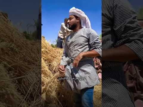 عشمان في مين ياحزين المنشد احمد حسن الاقصري