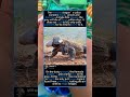 Komodo Dragon’s Lethal Bite: The Silent Killer#foryou #fyp #animals #funny