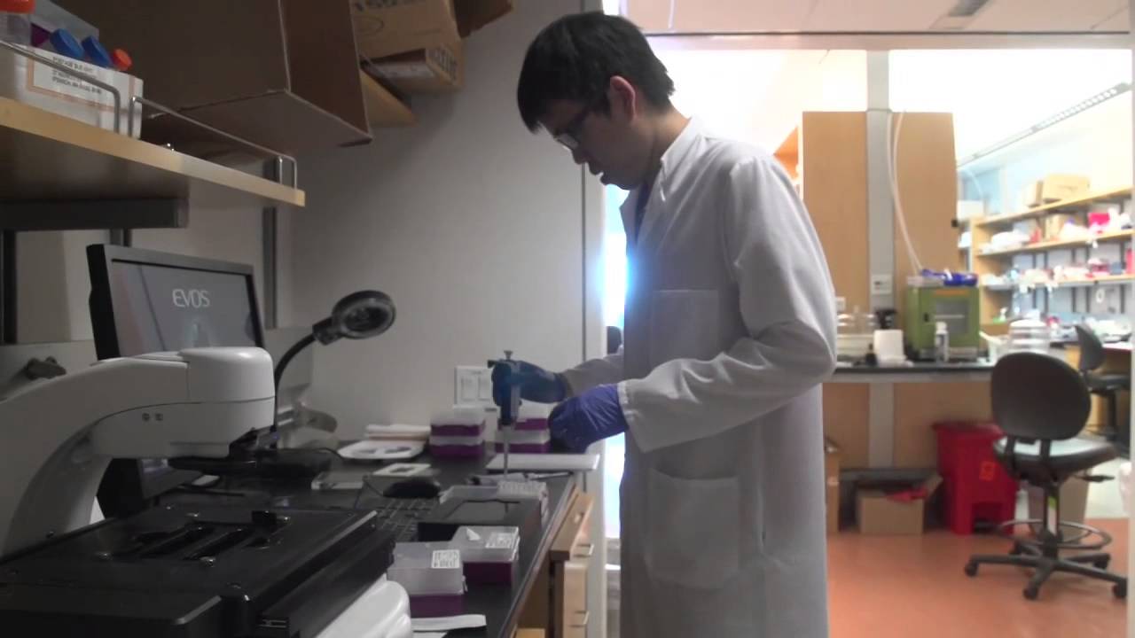 Find Your Passion – be a Medical Scientist