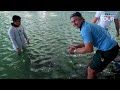 Releasing a 105kg Green Turtle Into The Louvre Abu Dhabi!