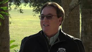 Pegasus Feature - Kiaran McLaughlin