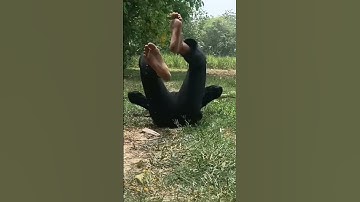 karbi bast ation movie