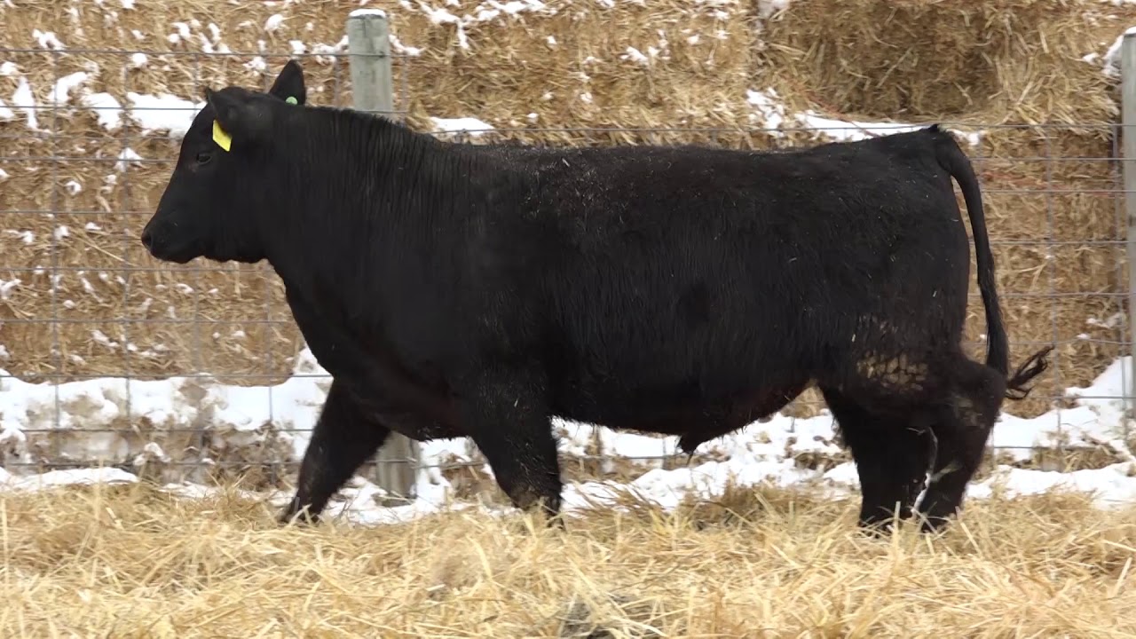 camera iphone 8 plus apk 66