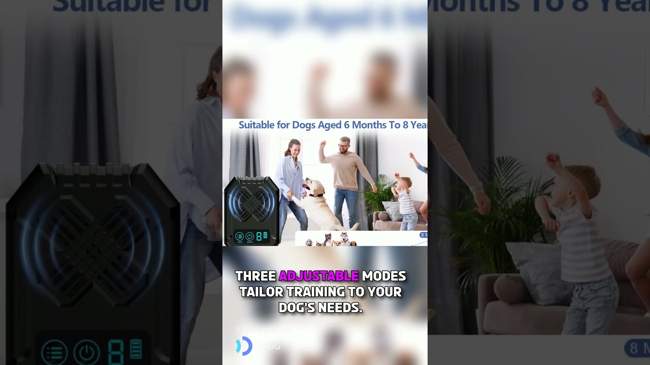 The BEST Anti-Barking Device for Your Dog!  