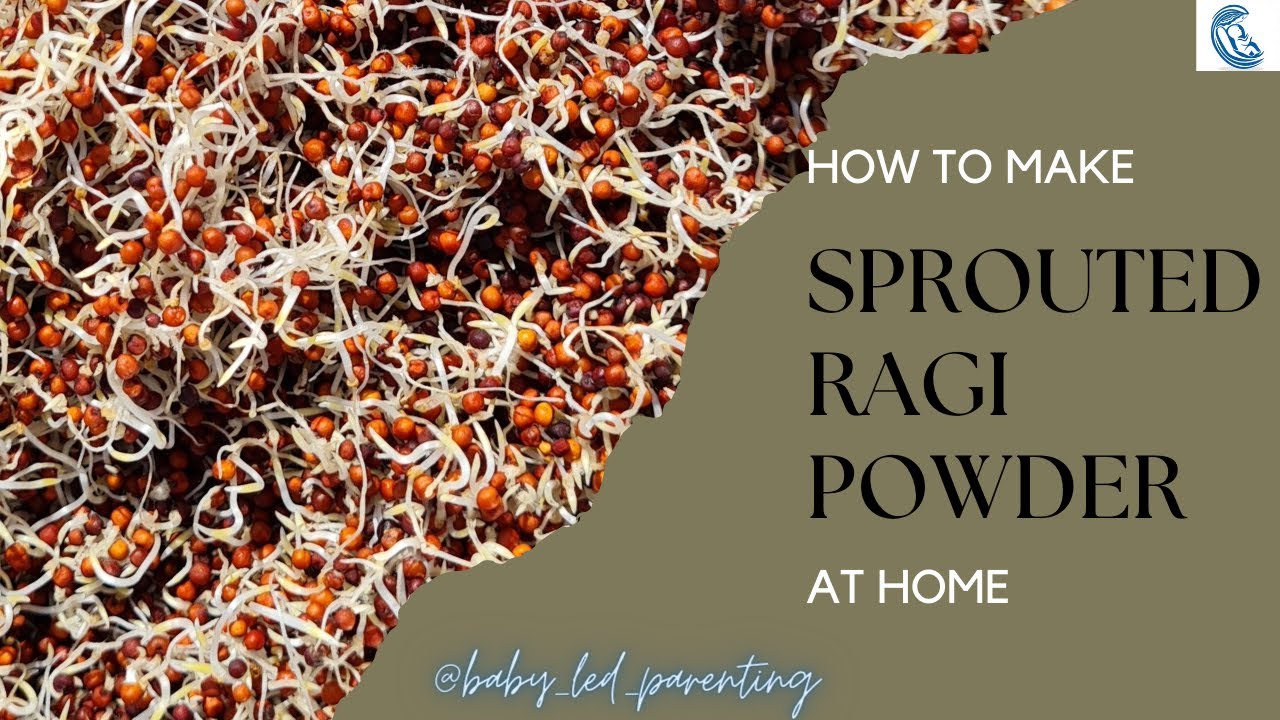 Sprout Ragi Power How to make Sprouted Ragi Poweder at Home | Easy Method and with Useful ...