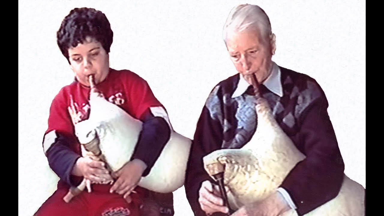 Γκάϊντα οργανικό. Χορός λαϊσιος