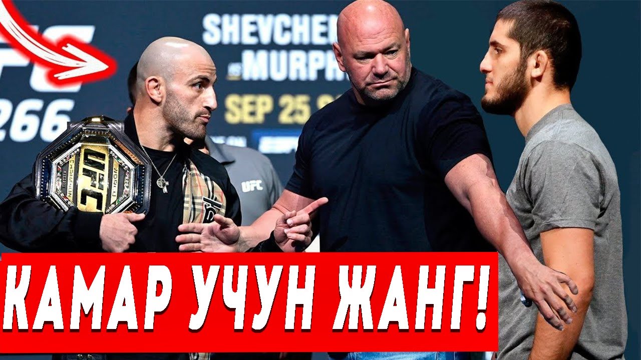 ���� ��������� Lyka Labs �����: ����.