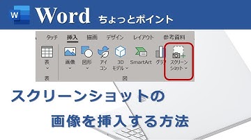【スクリーンショットの画像を挿入する方法】Word,Excel,PowerPoint