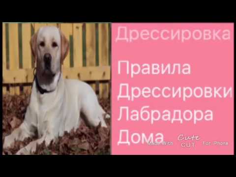 Как сделать пятно на рубашке 140