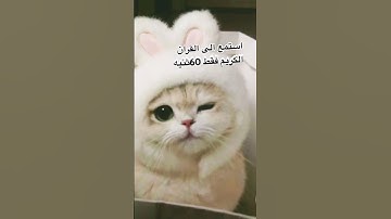 استمع الى القران الكريم فقط 60ثنيه