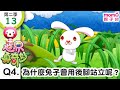 世界真奇妙S2 13 Q4 為什麼兔子會用後腳站立呢 為什麼 為甚麼 WHY 孩子的疑問 Q A 學習新知長知識 教育問答 第二季 第13集 題目04 親子台 官方HD短版 Momokids 世界真奇妙S2 13 Q4 為什麼兔子會用後腳站立呢 為什麼 為甚麼 WHY 孩子的疑問 Q A 學習新知長知識 教育問答 第二季 第13集 題目04 親子台 官方HD短版 Momokids