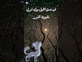 ليل حلم Night ظلام قمر ليل حلم Night ظلام قمر