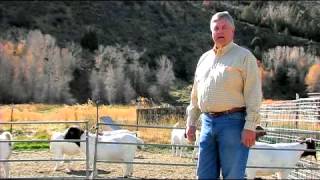 How to Choose a Goat