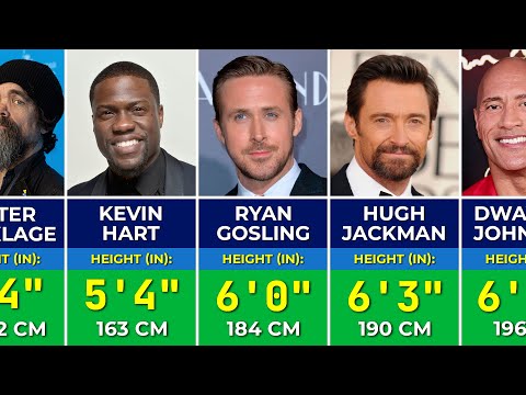 Heights Of Famous Hollywood Actors In 2024 | Tallest And Shortest Actors