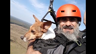 Собака летает на параплане. Ричи открывает для себя небо. Собака летает на параплане. Ричи открывает для себя небо.