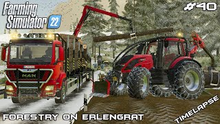 Valtra T Series woking in FOREST | Forestry on ERLENGRAT | Farming Simulator 22 | Episode 40