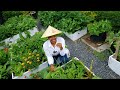 What i wish I knew before planting