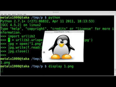Download Files like WGET with Python - Linux