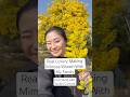 What is the real luxury? Making mimosa wreath- Making memory with Sticker Canera