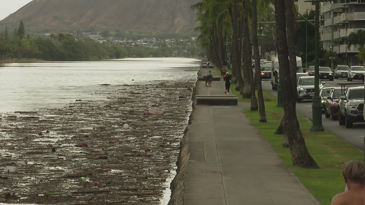 Ala Wai debris 'is the worst I've ever seen it' after recent rain