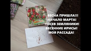 ВЕСНА ПРИШЛА!!! начало Марта! заботы садовода цветовода!