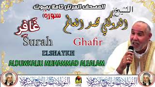 سورة غافر 😍 برواية قالون 😍 بصوت الشيخ الدوكلى محمد العالم 😍 انتاج النور