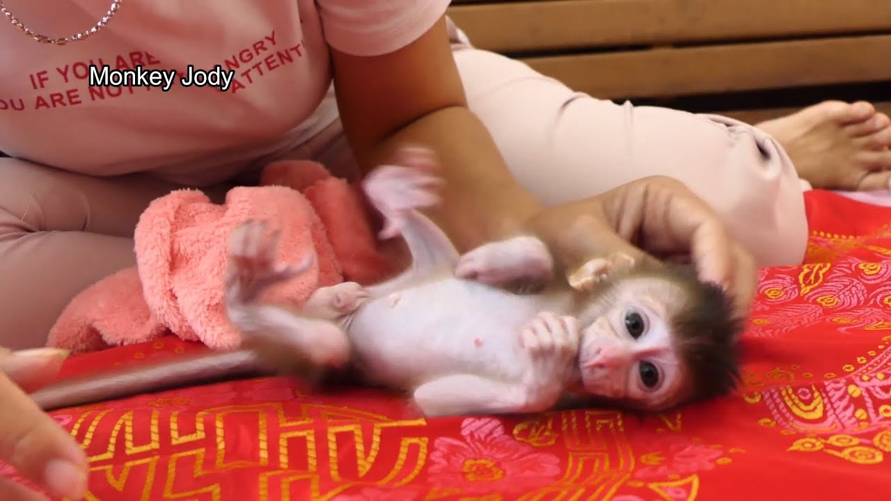 After Bath Jody Lift Up Leg & Hand Stange Emot0n baby Monkey Lovey Mom