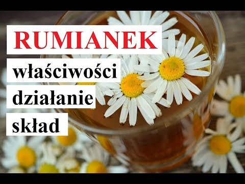 Wideo: Właściwości Lecznicze Rumianku