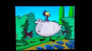 Fat chicken Spot🐔