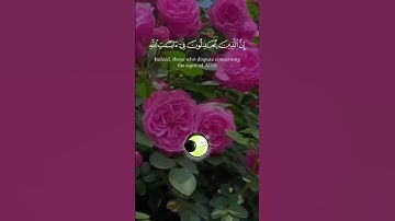 اللهم اجعل القرآن الكريم ربيع قلوبنا ونور صدورنا #shortvideo #اكسبلور #المصحف #الرحمن #دويتو #لايك