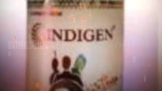 Indigen Emergen Company