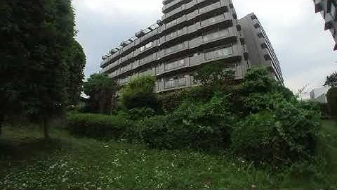 Insta 360 GO Fpv Mode カメラテスト