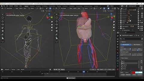 3D Super Rigged MODEL - Human Medical Anatomy body