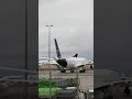 Bird Strikes: प्लेन के लिए खतरा😨। #shorts #ytshorts #trending #birdstrike