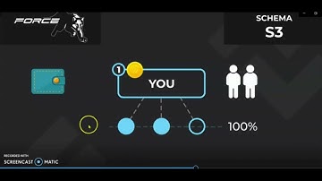 Explanation of s6 and s3 Matrix system in the Meta Force Classic Program.